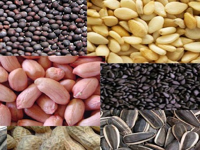 Other Products